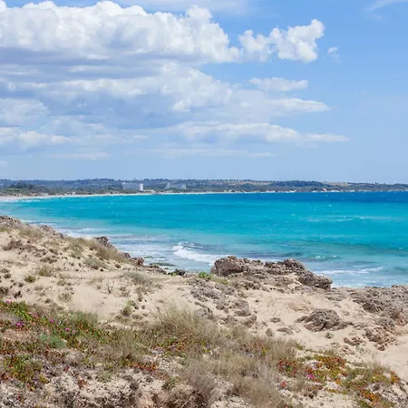 Machiavelli Gallipoli